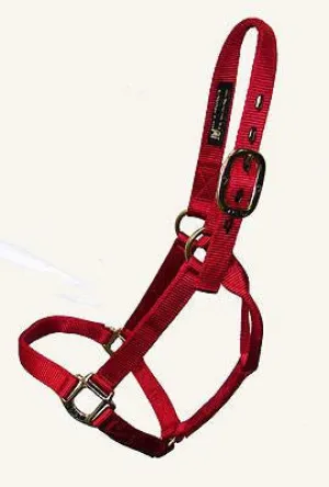 Big D Plain Halter (Yearling)