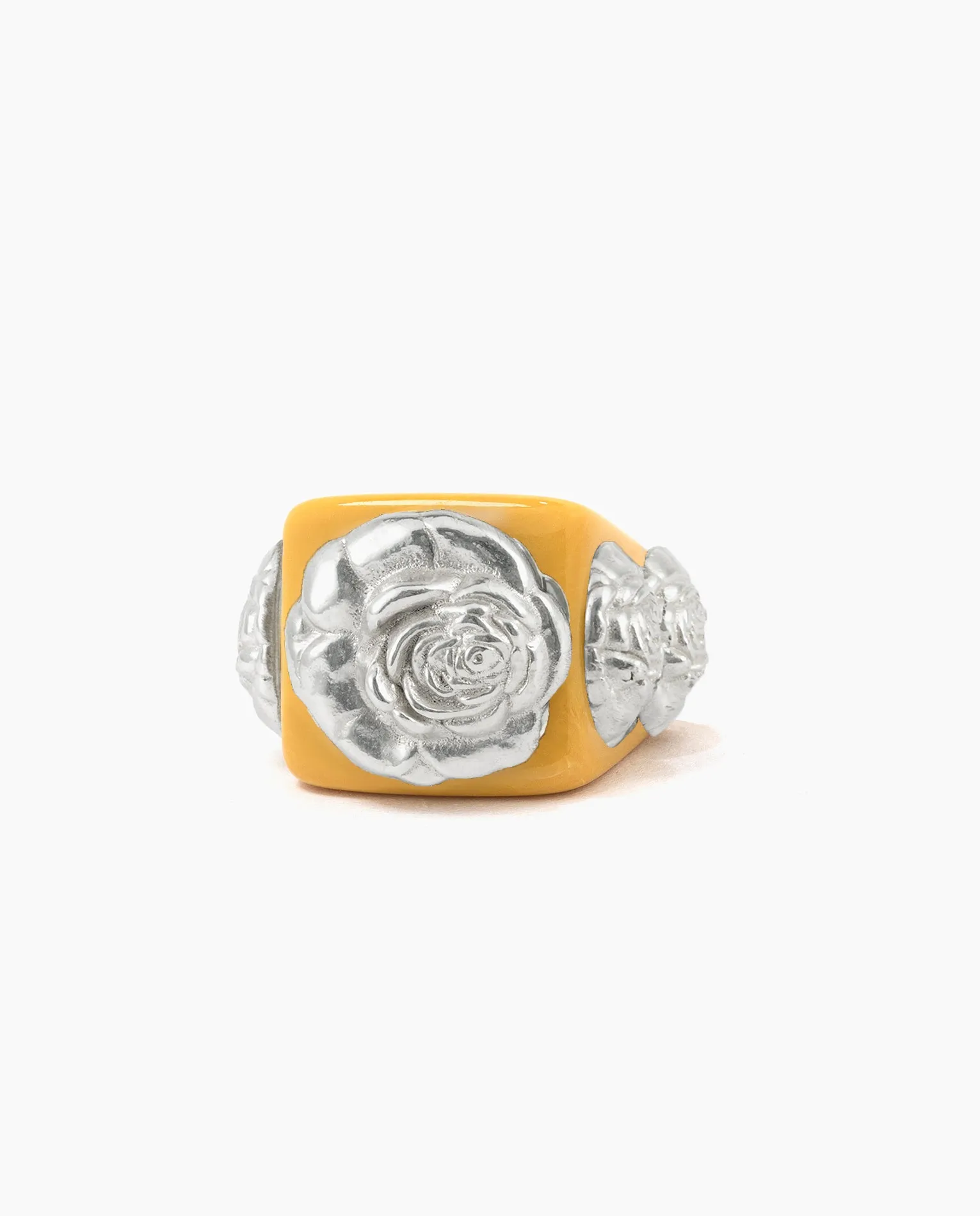 Camel on Silver Rosetón