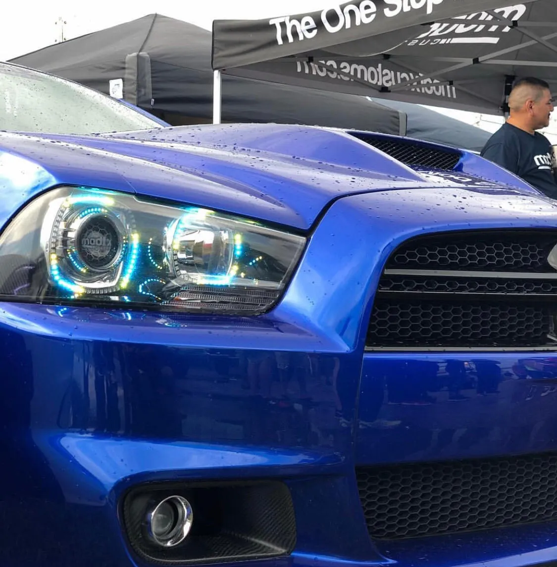 Color Werkz Dodge Charger 2011-2014 Halo Kit