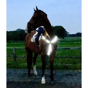 Equisafety LED Rechargeable Breastplate - Pink