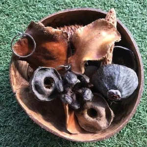Foraged Seedpod Keyrings, Handmade by Jim