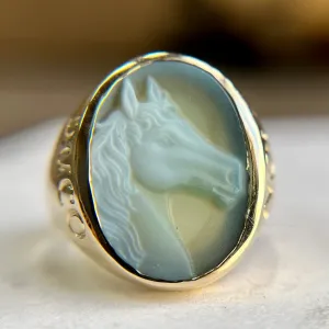 Horse & Unicorn Non Ducor Duco