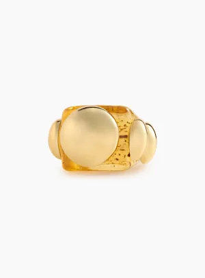 Iconic Tiger Eye