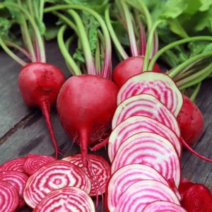 OSC Chioggia Beet Seeds - Packet