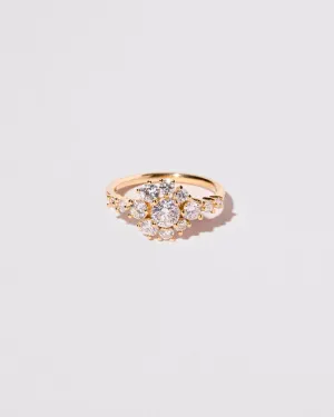 Taiga Ring
