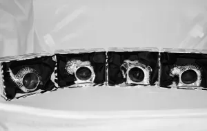 Vintage African Napkin Rings AfriSilver Sterling Hallmarked Lion Elephant Leopard Guinea Fowl Presidential Gift to Clintons Set of 4