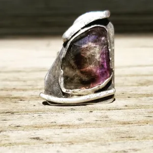 Warrior the Ring