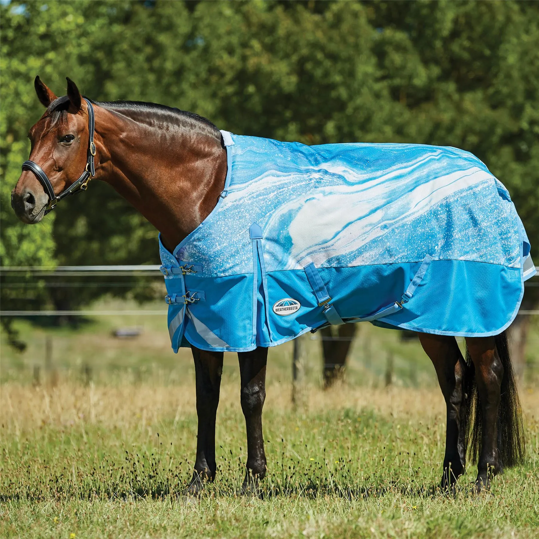 Weatherbeeta Comfitec Plus Dynamic Ii Standard Neck Medium